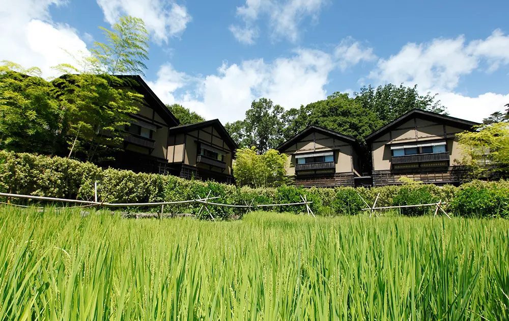 八幡野溫泉鄉 杜之湯 きらの里 腹地裡的田園