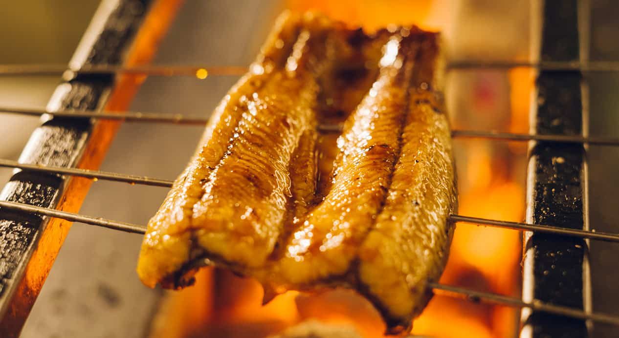 界 遠州 鰻魚與河豚同席的會席料理