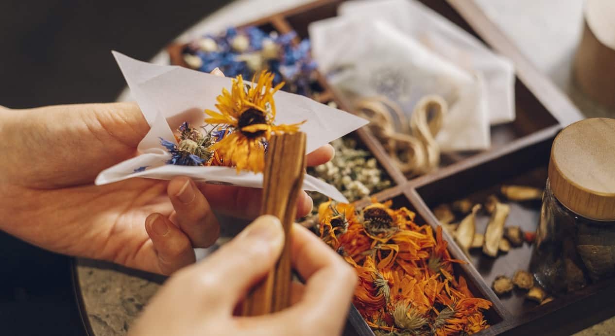 界 波羅多 愛奴的自然觀：館內的當地樂