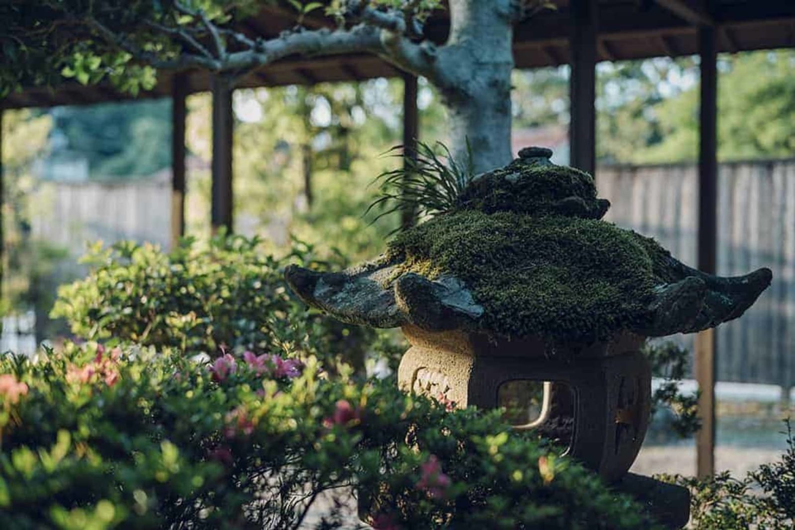 界 玉造 館內的庭園