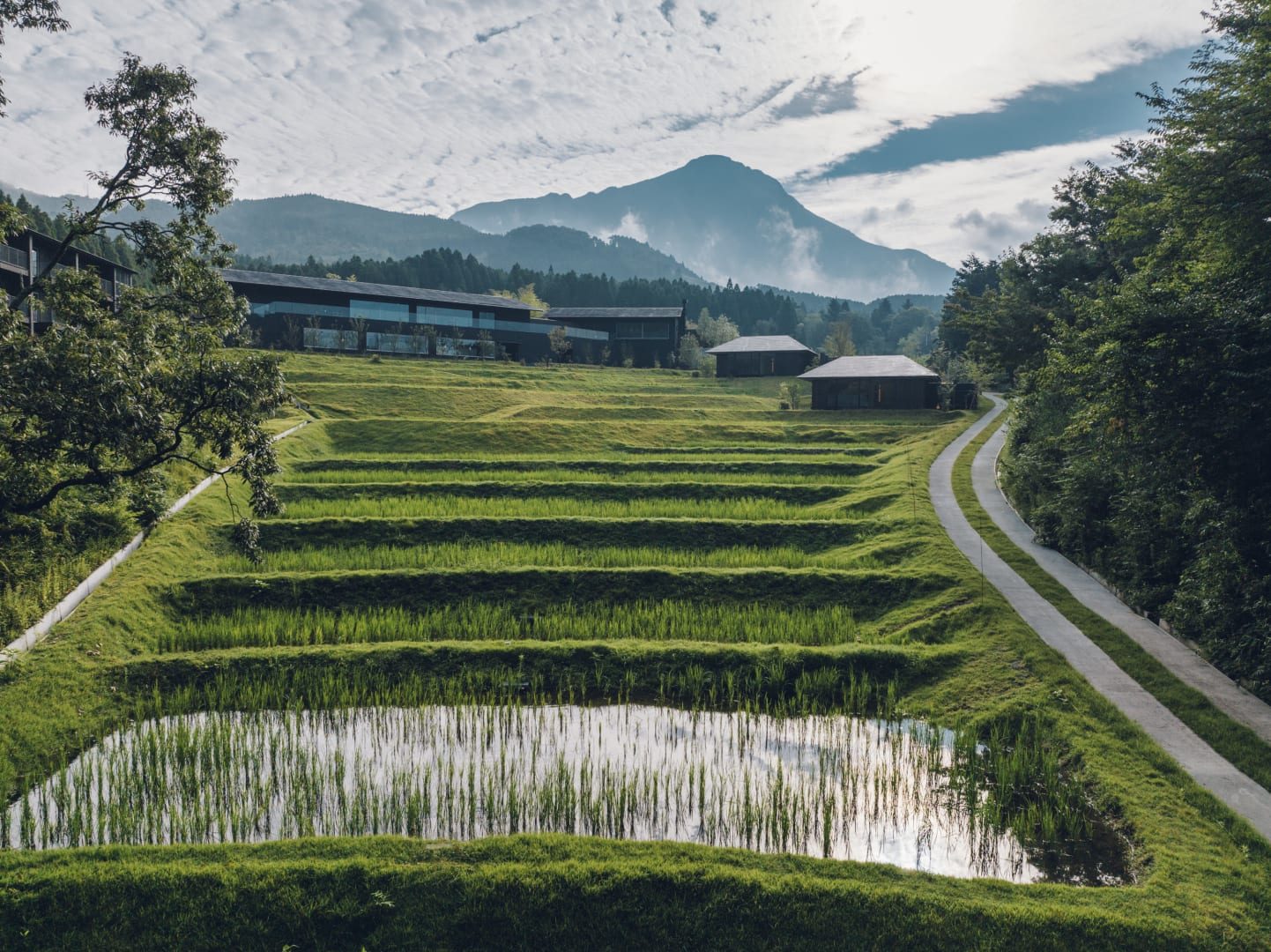 界 由布院 層層的梯田