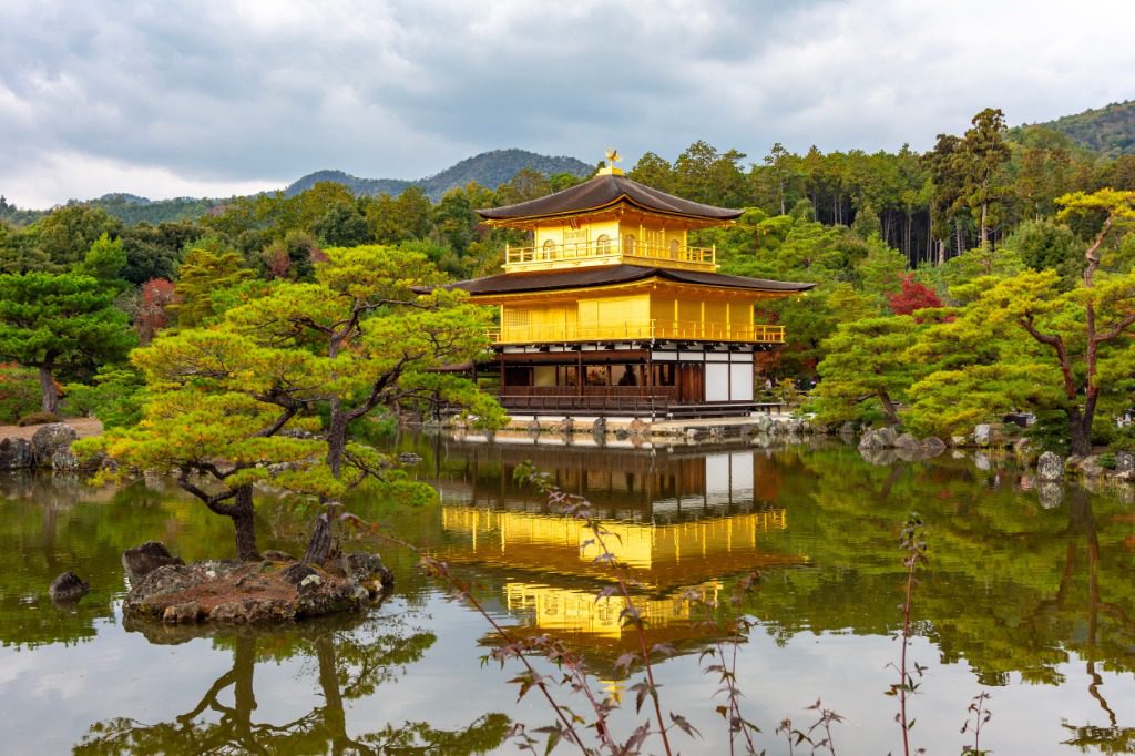 京都世界遺產金閣寺 耀眼金色舍利殿倒映於鏡湖池與青松庭園實拍