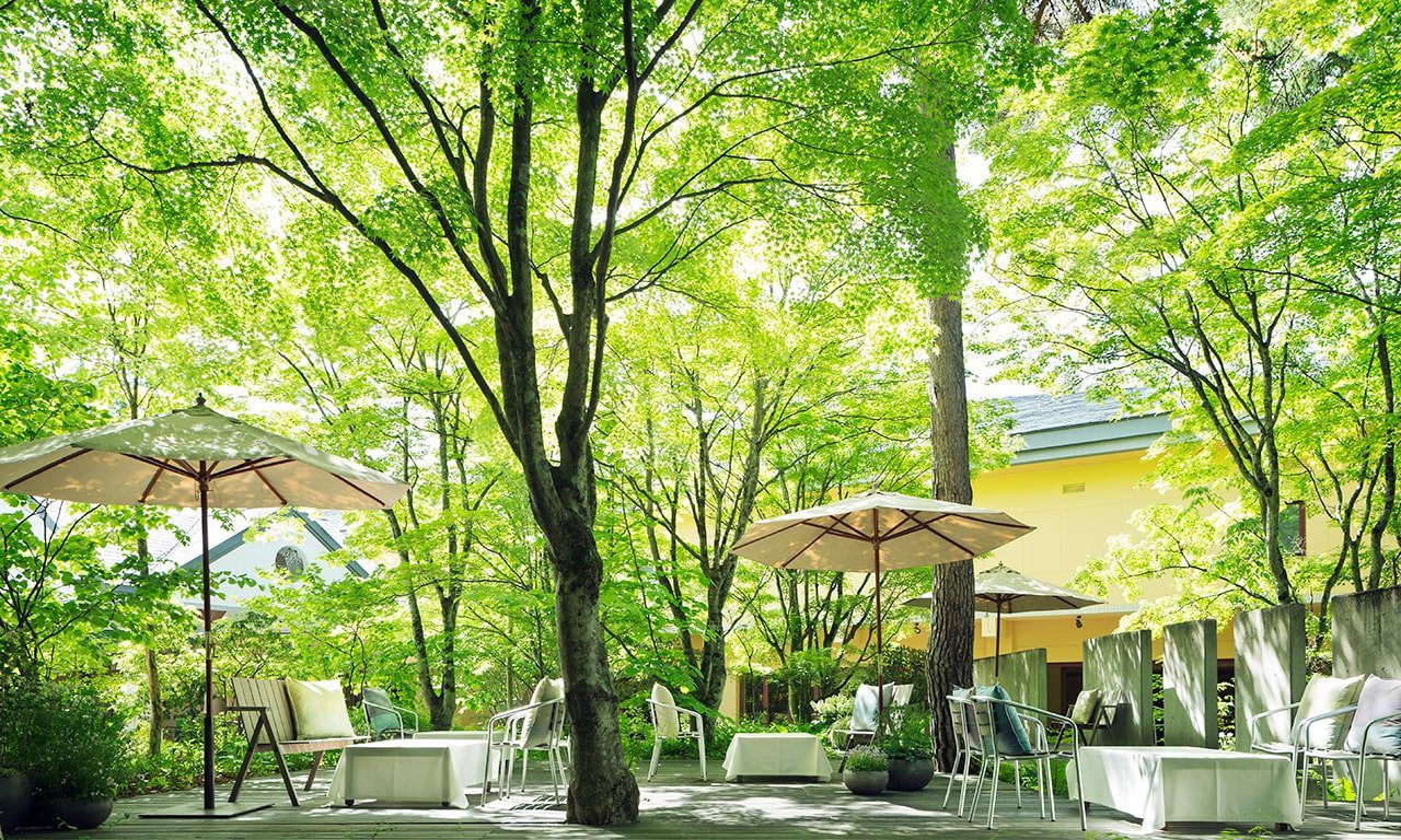 輕井澤 Hotel Bleston Court Lounge 戶外露台的陽傘座位與高大的樹
