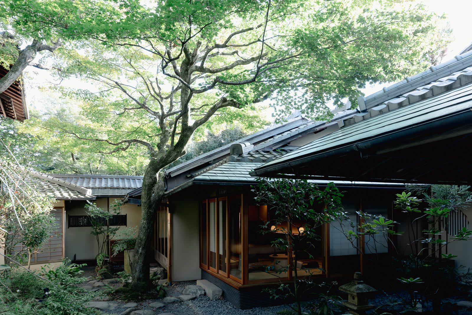 東山露地 Kazeno Heritage 京都 從庭園看向室內