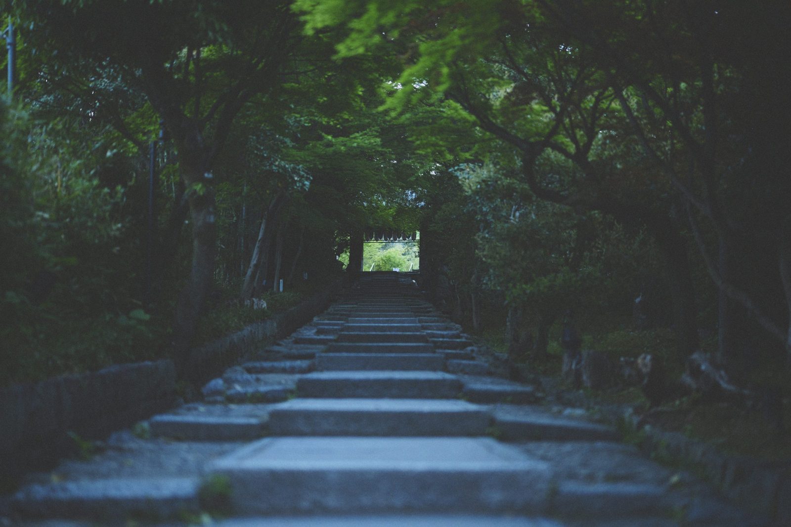 東山露地 Kazeno Heritage 京都 東山的石階小徑