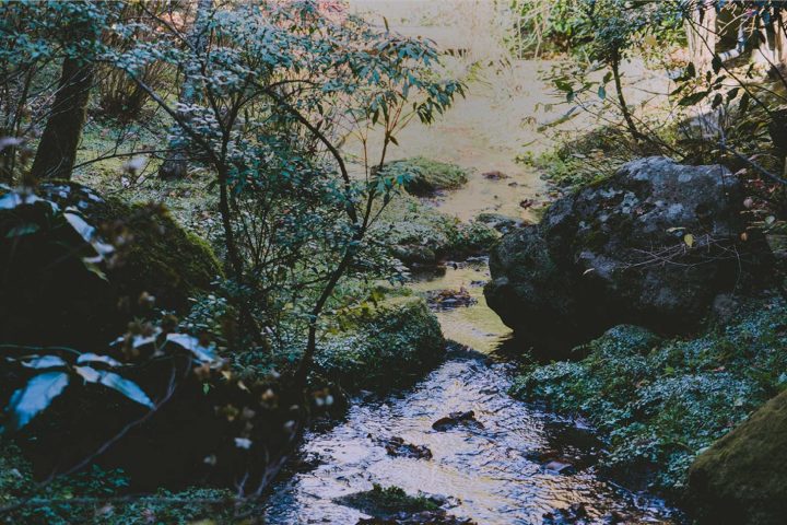 黑川溫泉 山水木