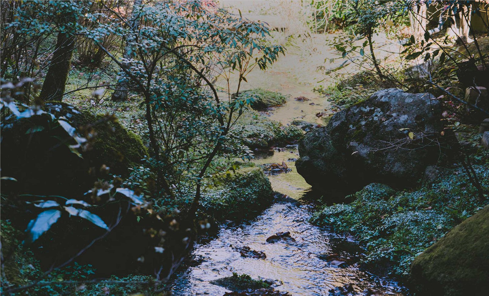 黑川溫泉 山水木