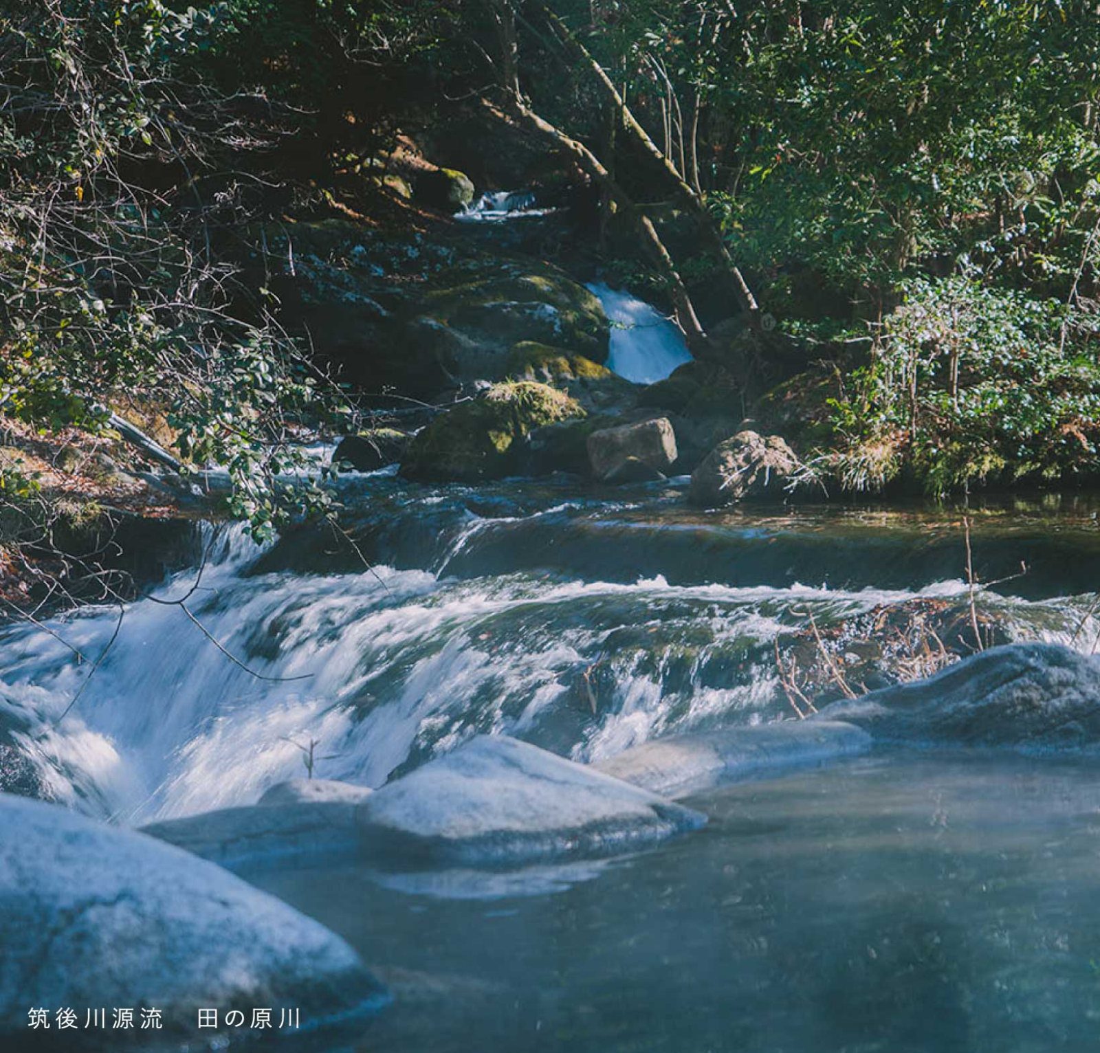 黑川溫泉 山水木 田之原川清流與幽靜山林