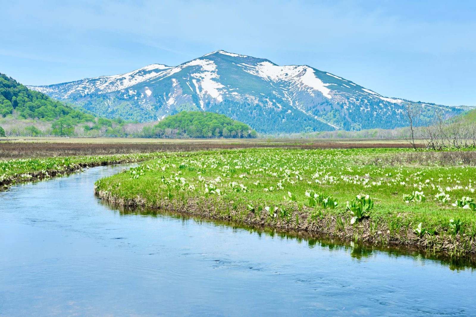 星野集團 LUCY 尾瀨鳩待 殘雪的至佛山、溪流與水芭蕉濕原