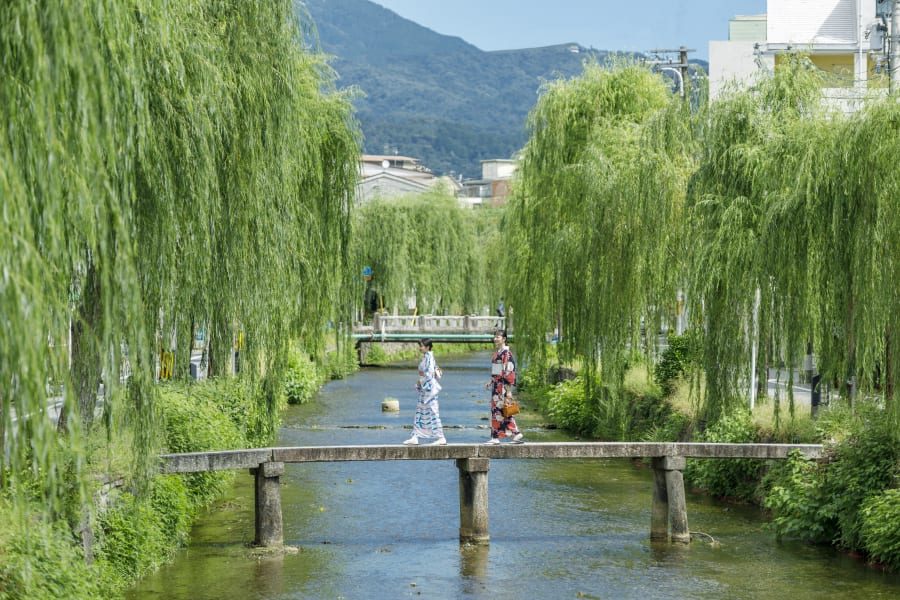 OMO5 京都祇園 by 星野集團 白川與柳樹：清晨的祇園散步