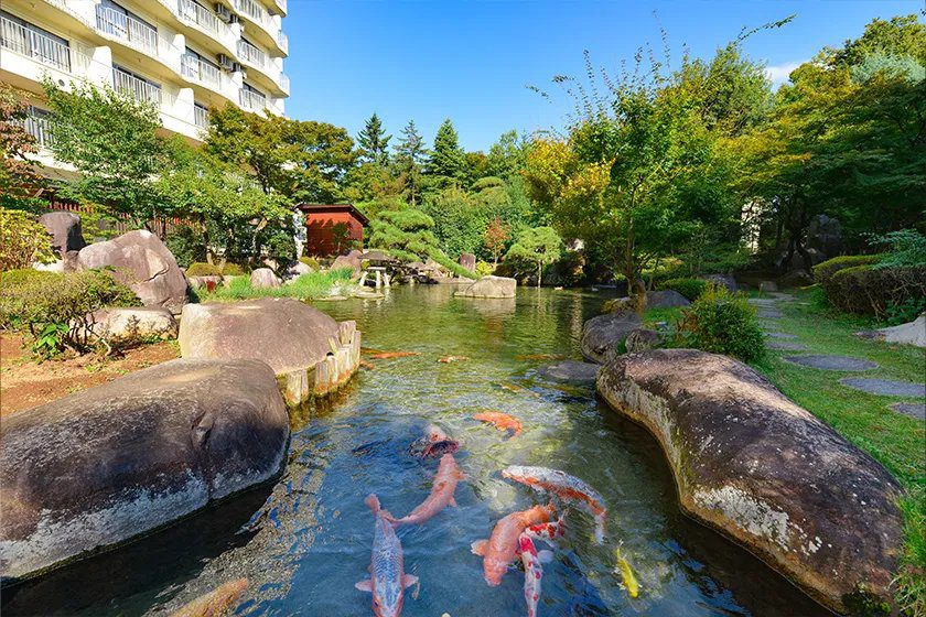 石和溫泉 新光飯店 日本庭園的錦鯉池