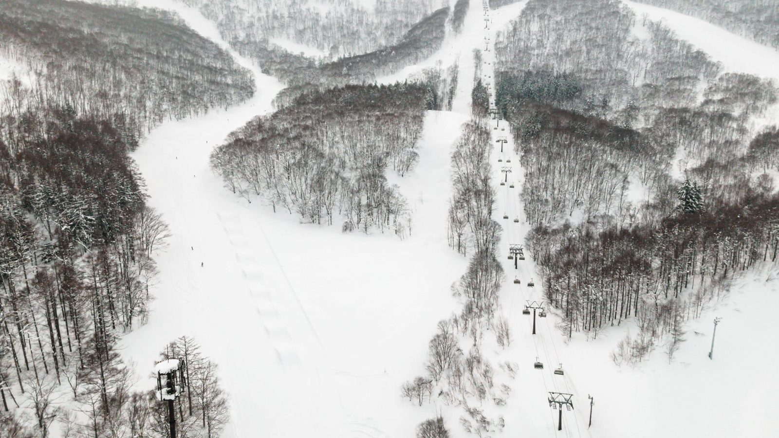 二世谷 HANAZONO 柏悅酒店 的滑雪場