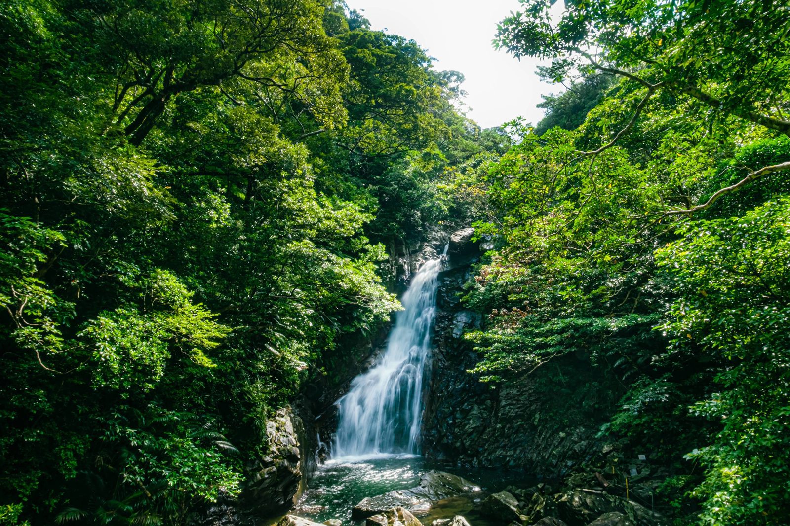 麗思卡爾頓沖繩 球場與森林