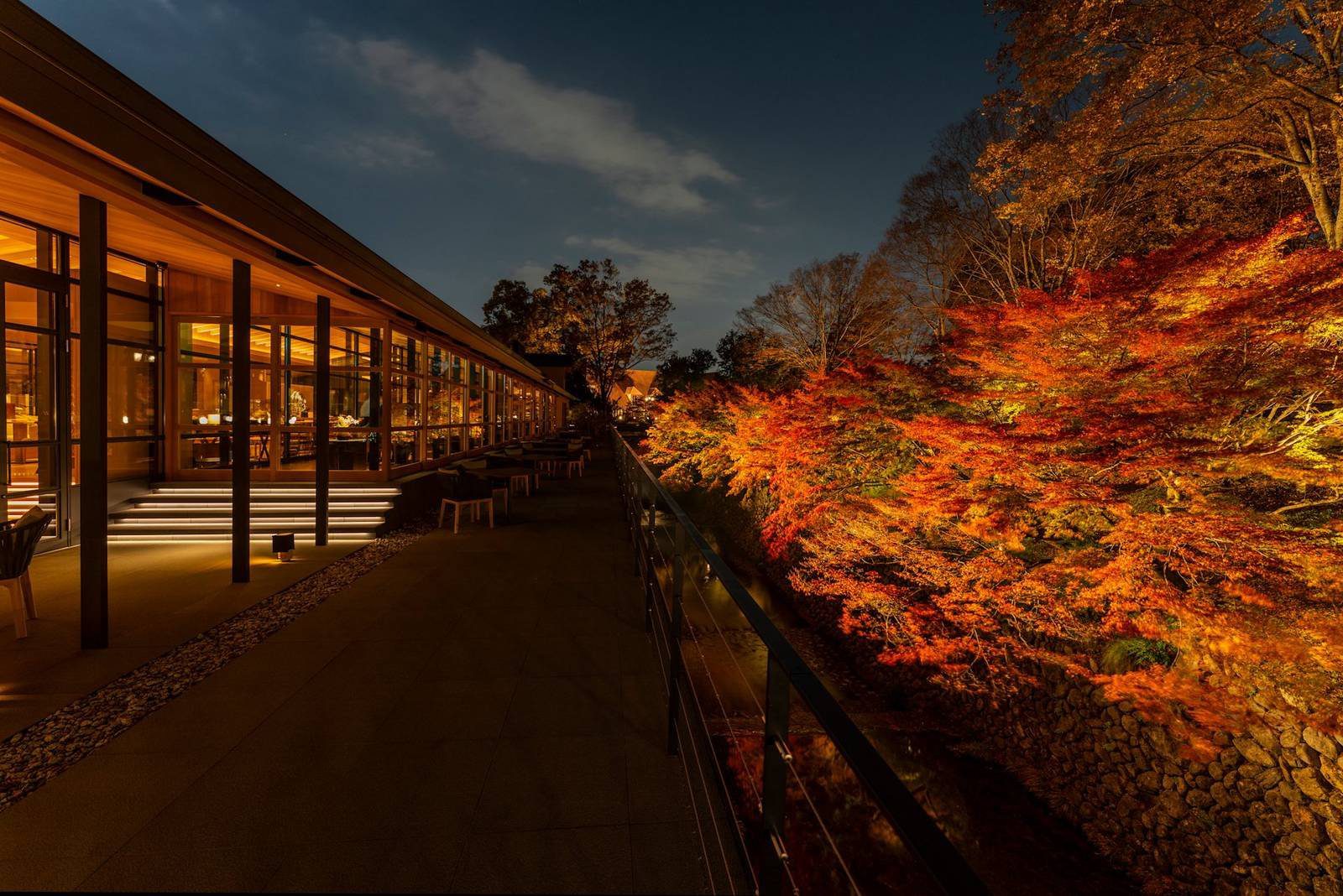京都 ROKU 酒店 園區木造廊道旁點燈的秋季紅葉