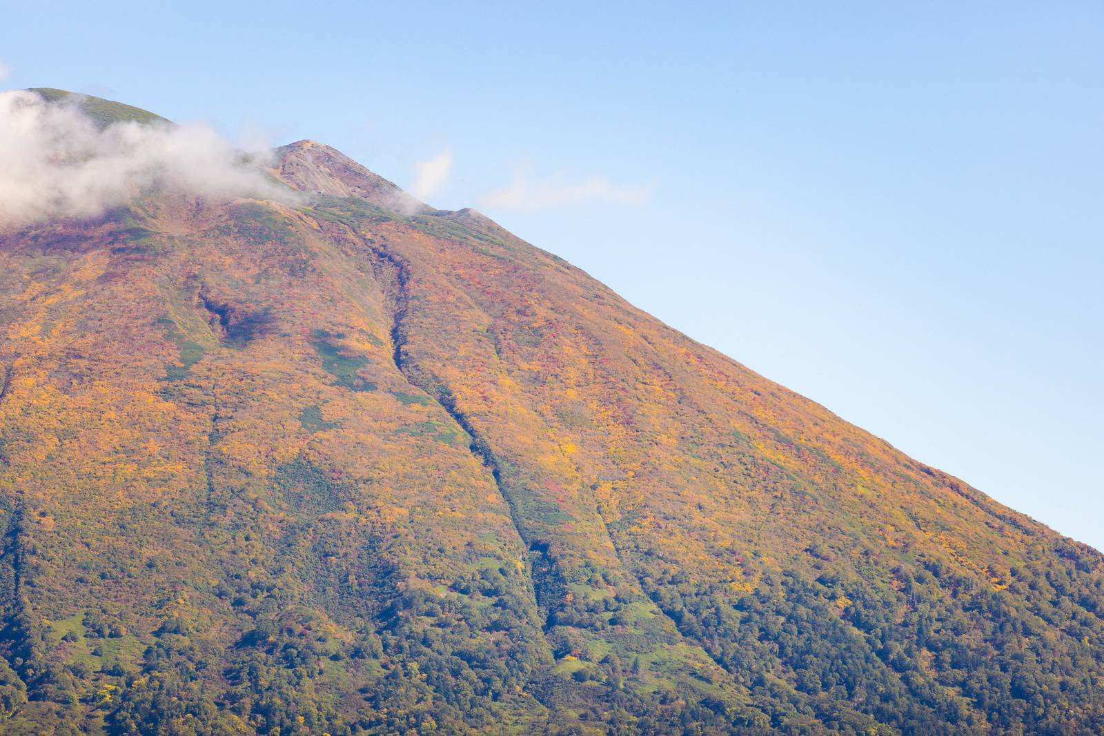 二世古 Setsu Niseko 秋天山坡轉成紅黃色的羊蹄山