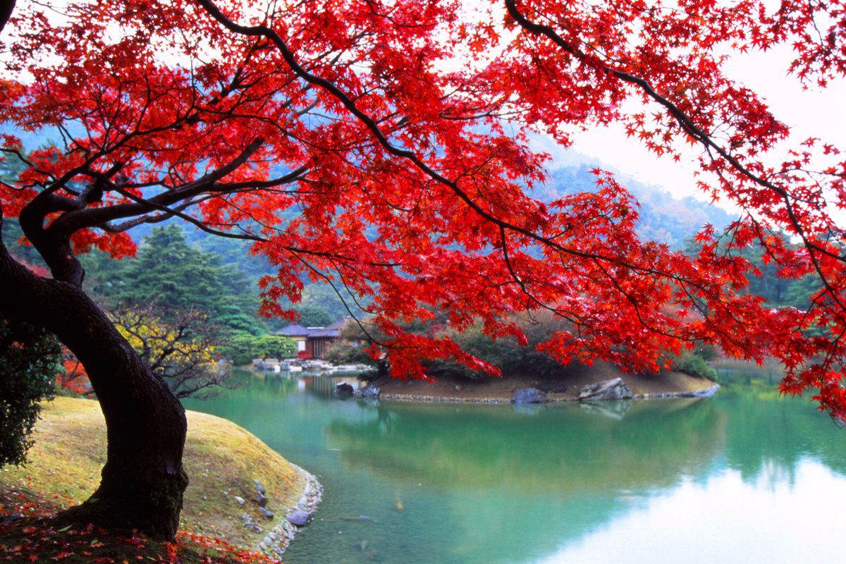 香川高松栗林公園 飛來峰俯瞰掬月亭與紫雲山借景名庭