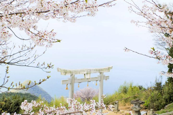 四國「百年名湯宿×奇蹟仁淀藍」5日遊｜高屋神社天空鳥居・父母之濱・道後溫泉・仁淀川屋形船・牧野植物園・栗林公園