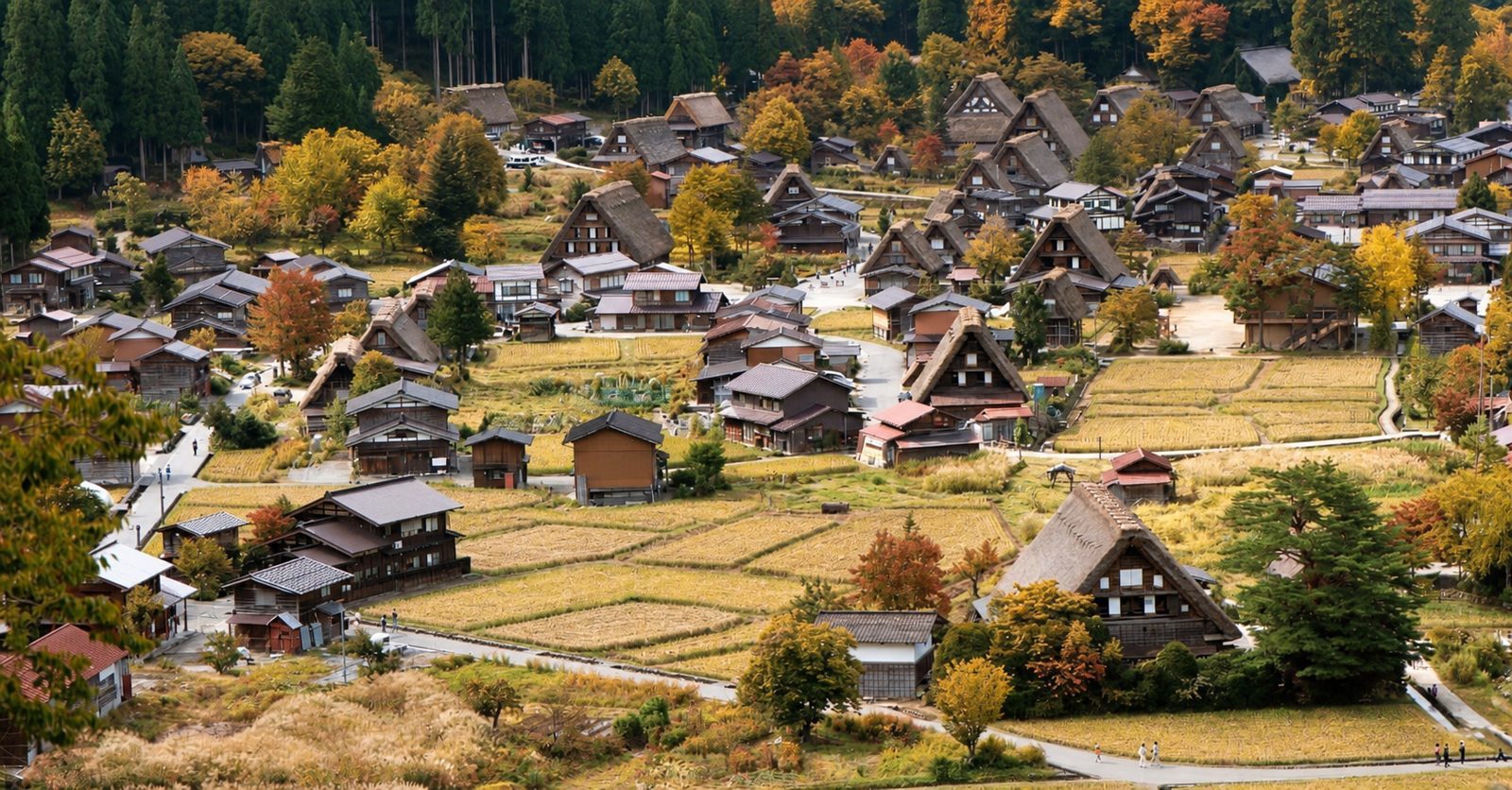 白川鄉荻町合掌村與秋色田園