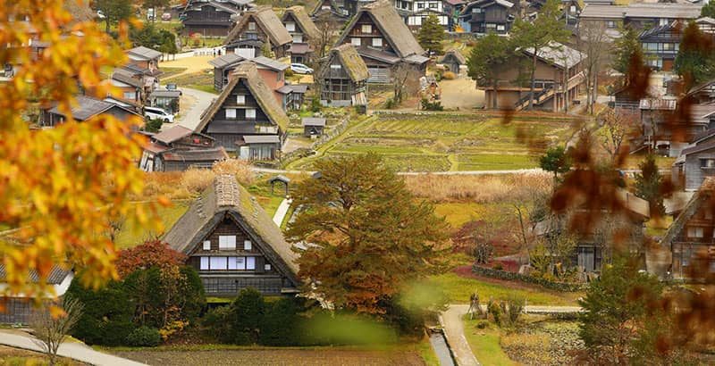 白川鄉 御宿 結之莊 白川鄉的合掌造聚落