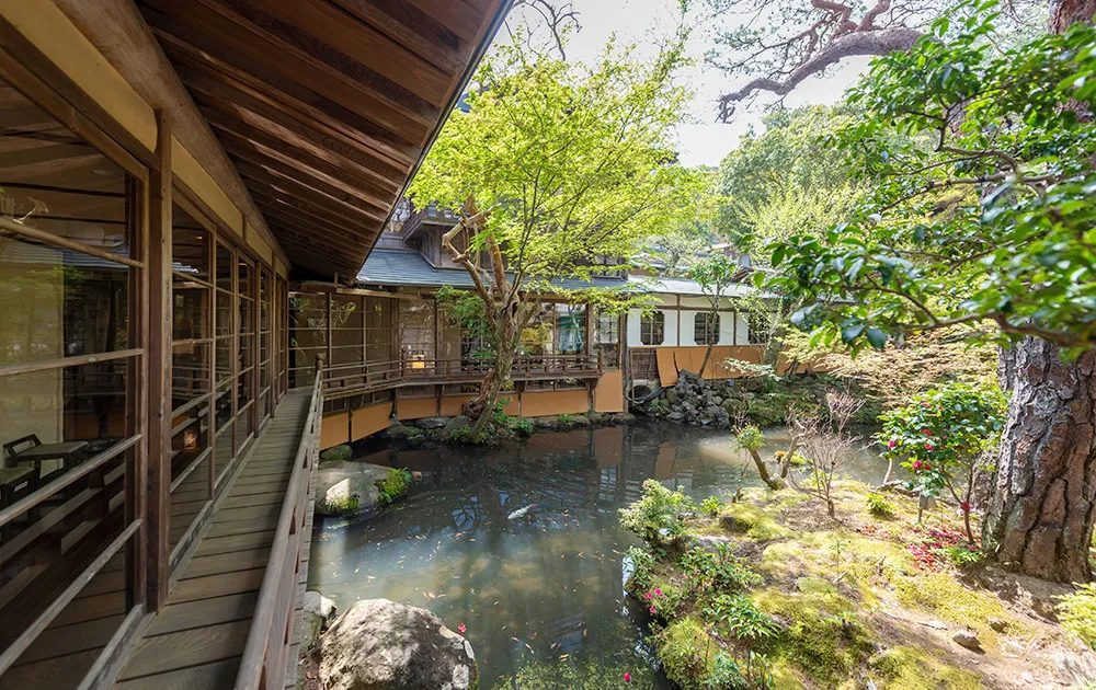 修善寺溫泉 湯迴廊 菊屋 串起浴場與庭園的玻璃湯迴廊