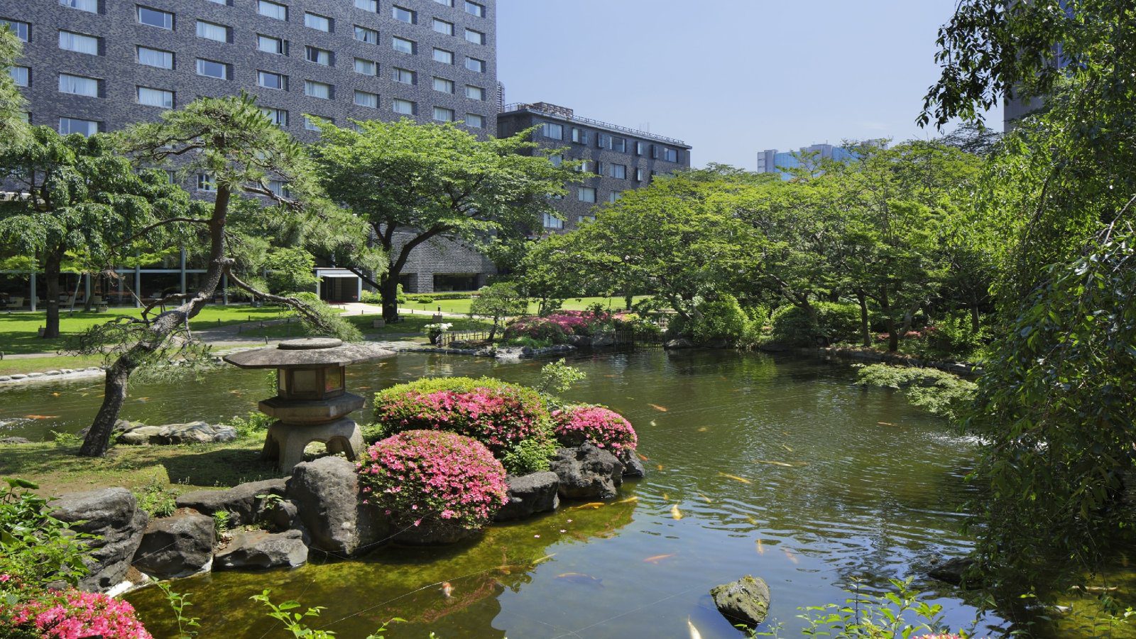 東京櫻花塔王子傲途格精選酒店 日本庭園池塘與杜鵑
