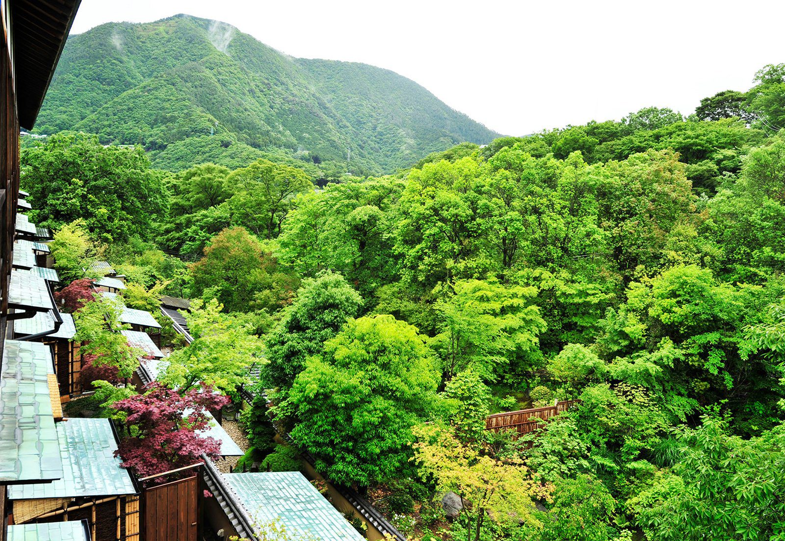 箱根 強羅花壇 館內望出去的箱根山景