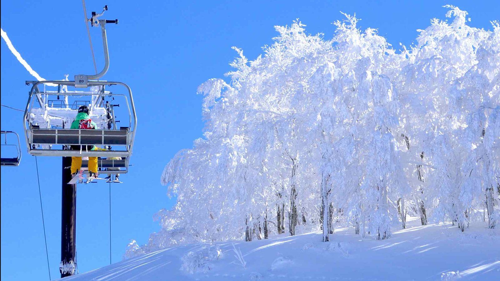 JAM 福井勝山東急飯店及度假村 雪季纜車與樹冰