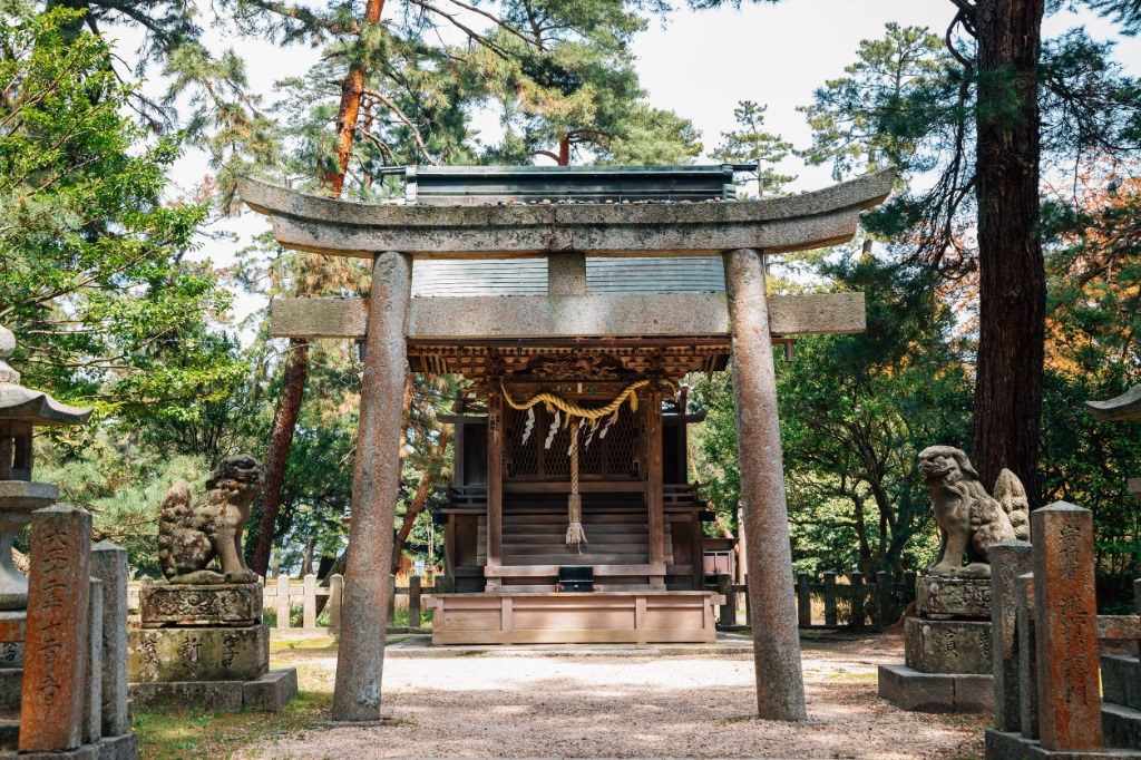 天橋立智恩寺多寶塔與松林步道