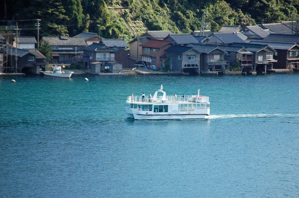 伊根灣遊覽船出海與飛翔海鷗近距離互動