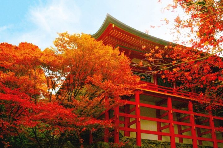 關西「琵琶湖水鄉×京都禪意」5日遊｜白鬚神社・MIHO美術館・比叡山