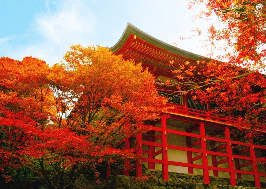 比叡山延曆寺世界文化遺產 紅葉掩映朱紅殿堂實拍