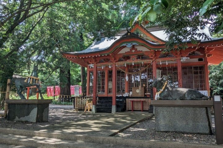 滋賀琵琶湖一日遊｜白鬚神社・八幡堀・La Collina