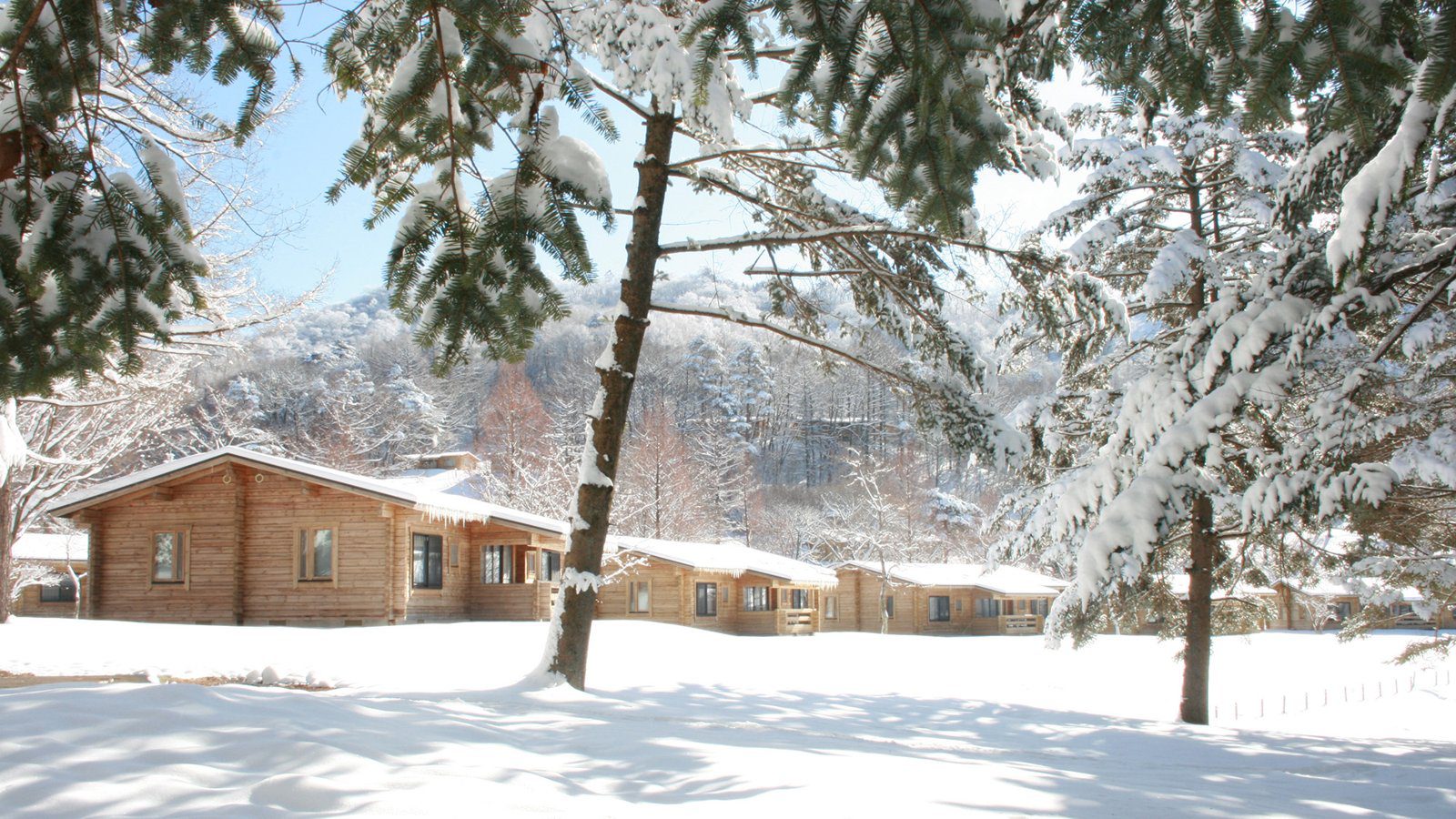 輕井澤王子大飯店 西館 8 人用 F 型小木屋雪景外觀