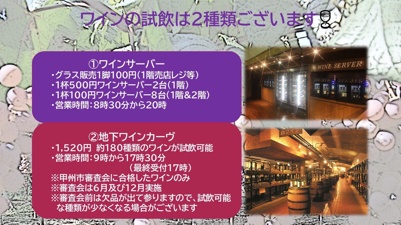 甲州市勝沼葡萄之丘地下花崗岩天然酒窖陳列百款山梨地酒自助試飲官方實景