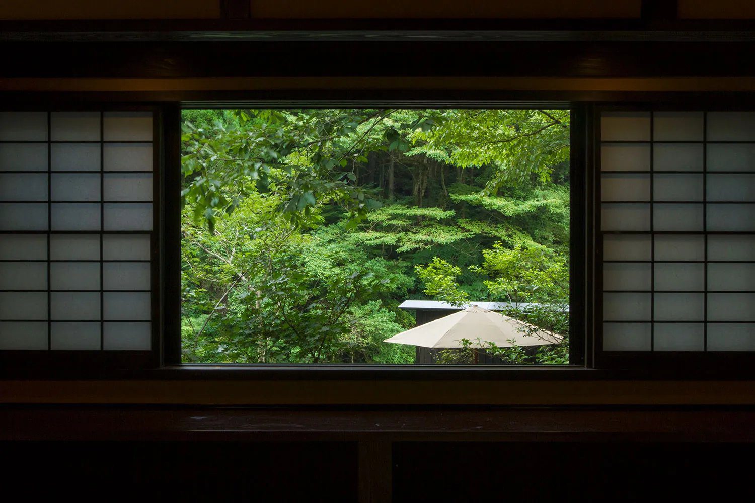黑川溫泉 旅館 山河 離れ「ねむの木」的窗外