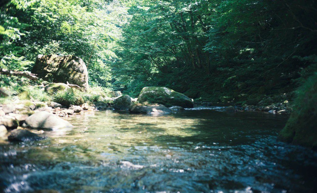 流經NIKKA宮城峽蒸餾所旁的新川清澈溪流與翠綠森林溪谷