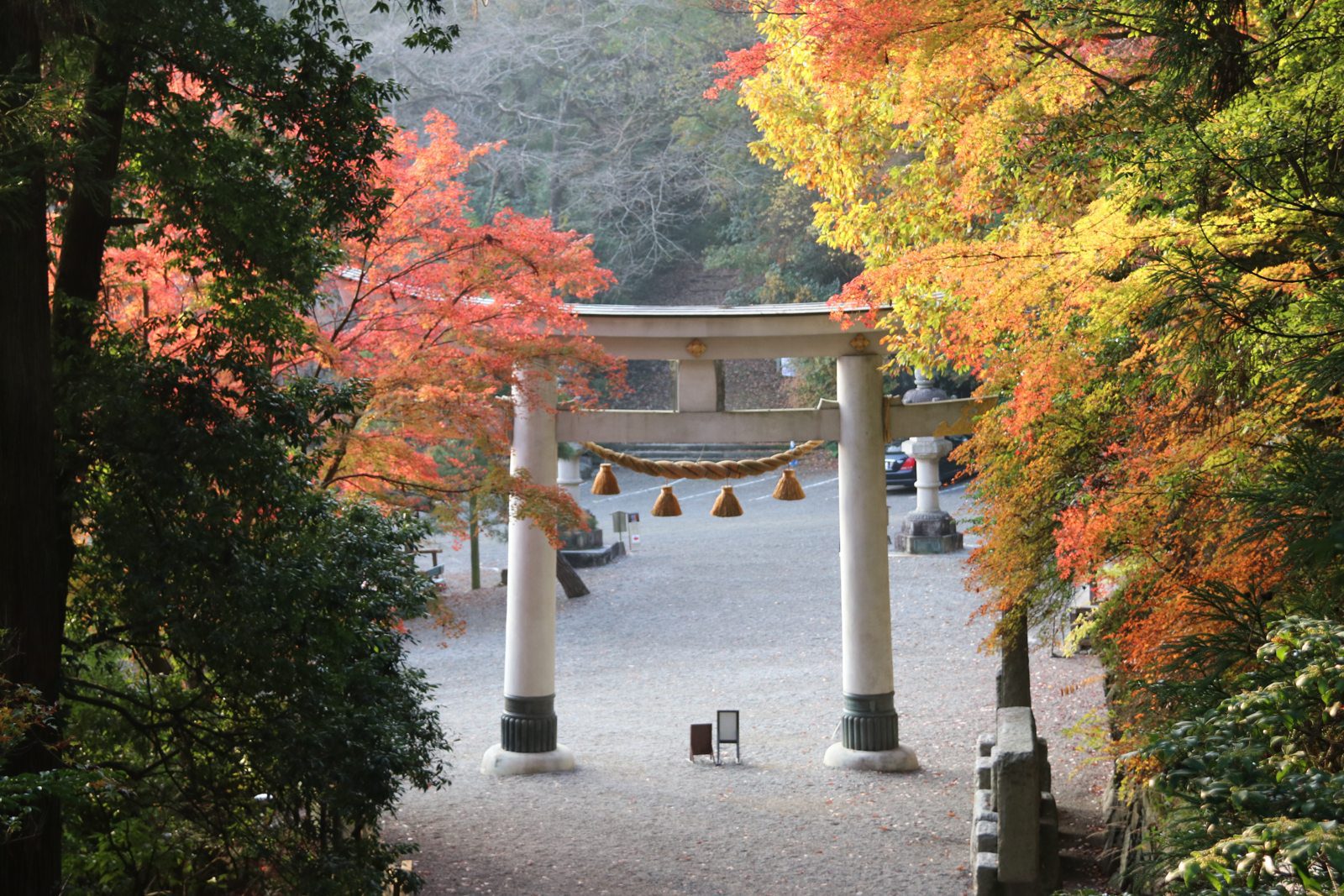 寶登山神社白色鳥居與秋季紅葉