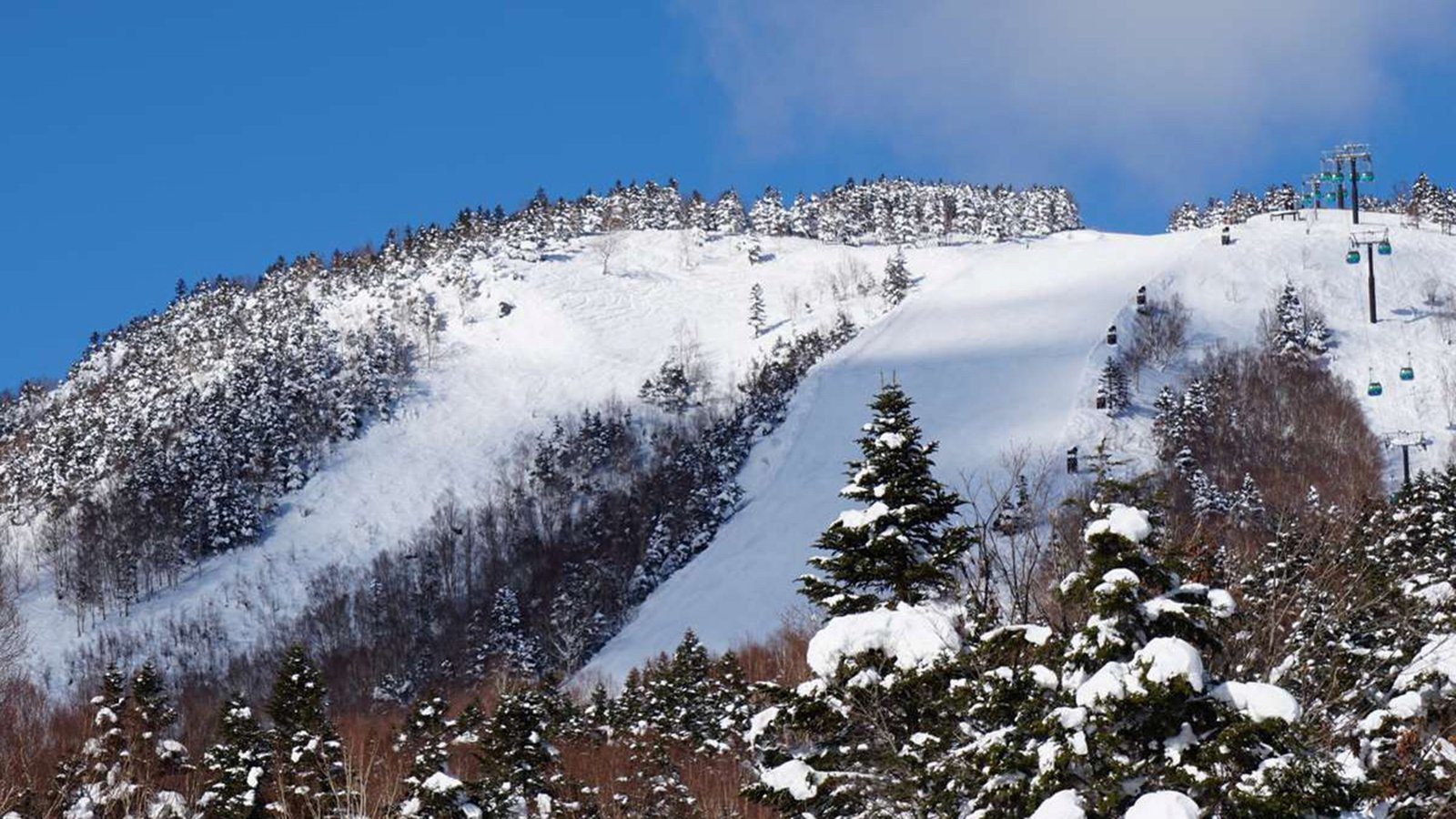 志賀高原王子大飯店 燒額山滑雪場奧運滑道