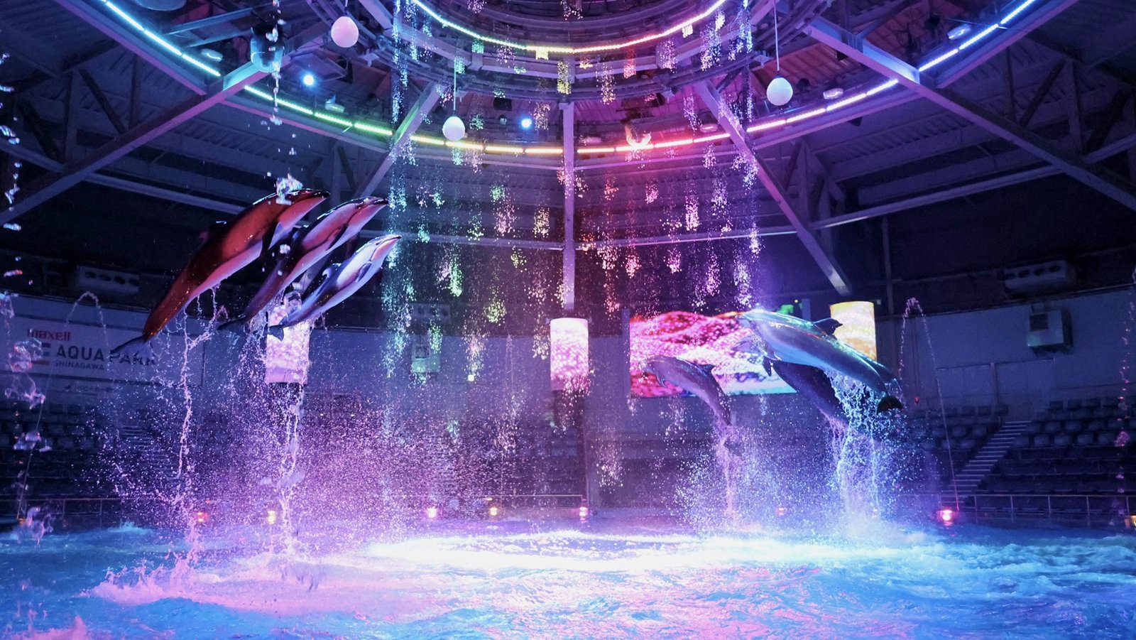 品川王子大飯店 Aqua Park 品川的海豚表演場