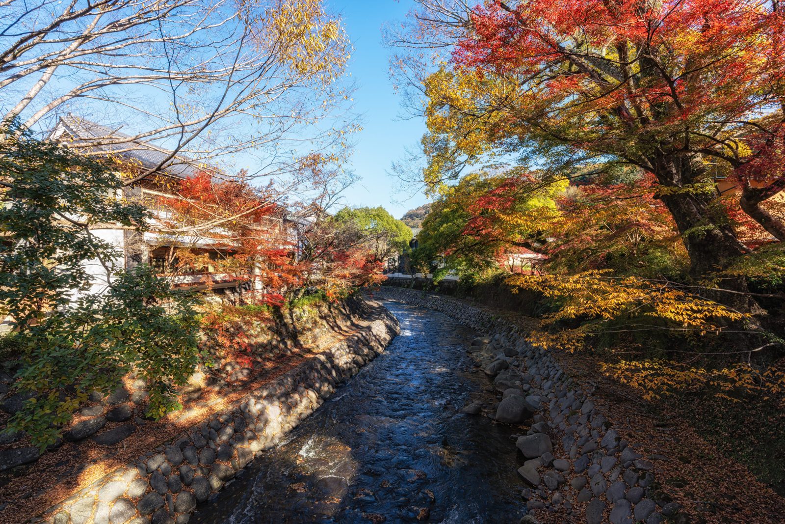 修善寺桂川兩側的紅葉、石砌河岸與建築