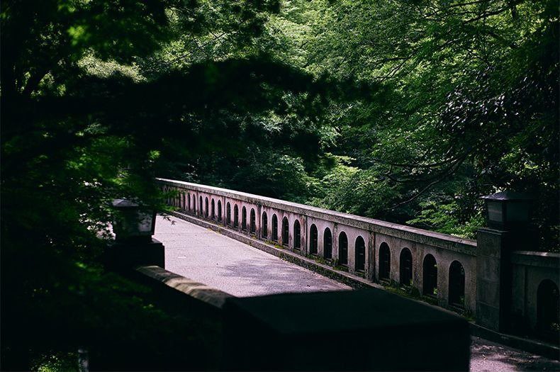 山中溫泉 花紫 溪谷的橋