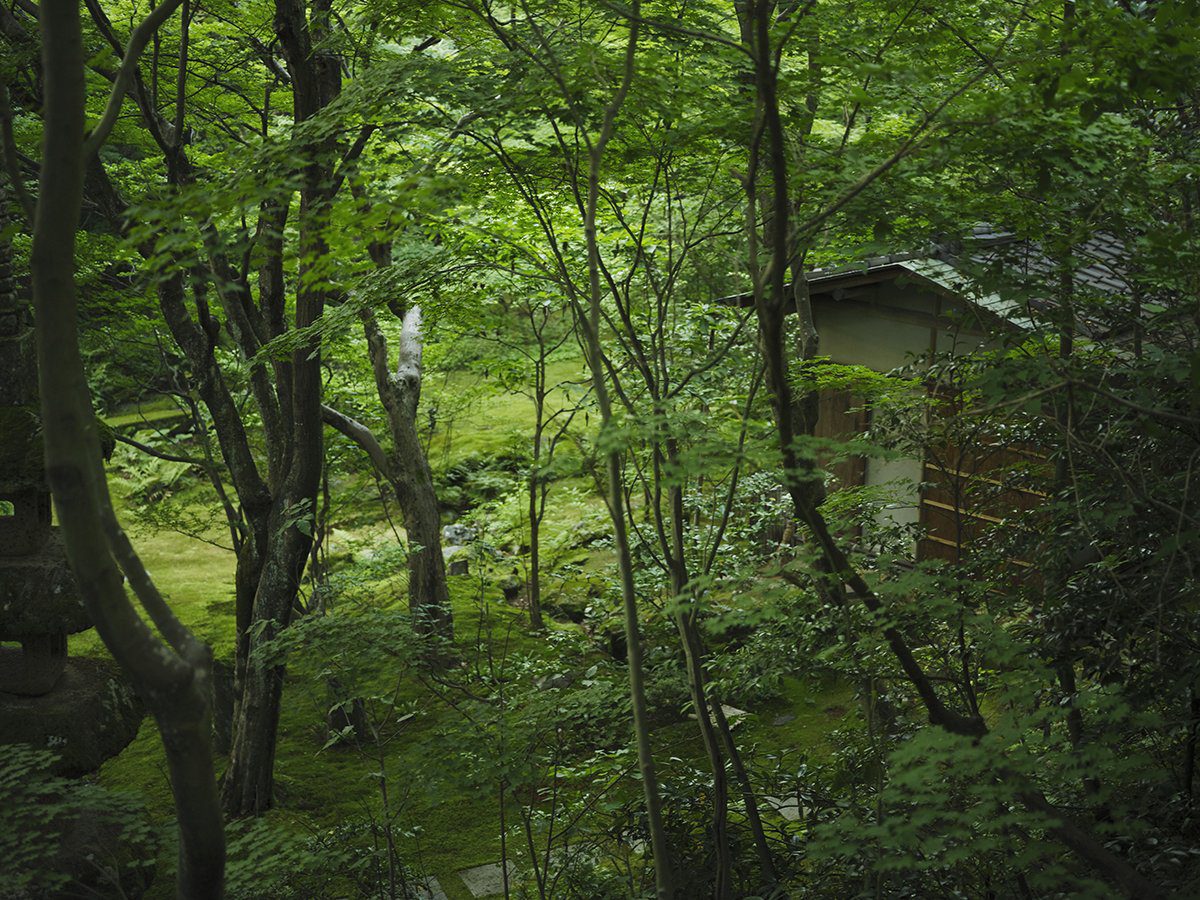 山代溫泉 べにや無何有 山庭的小徑