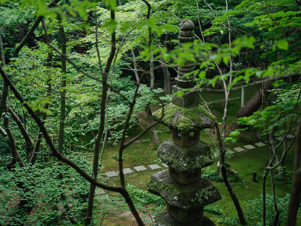 山代溫泉 べにや無何有 山庭