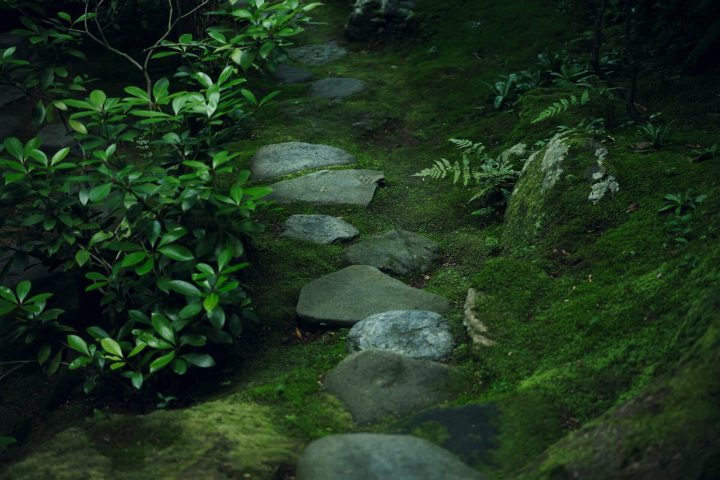 山代溫泉 べにや無何有