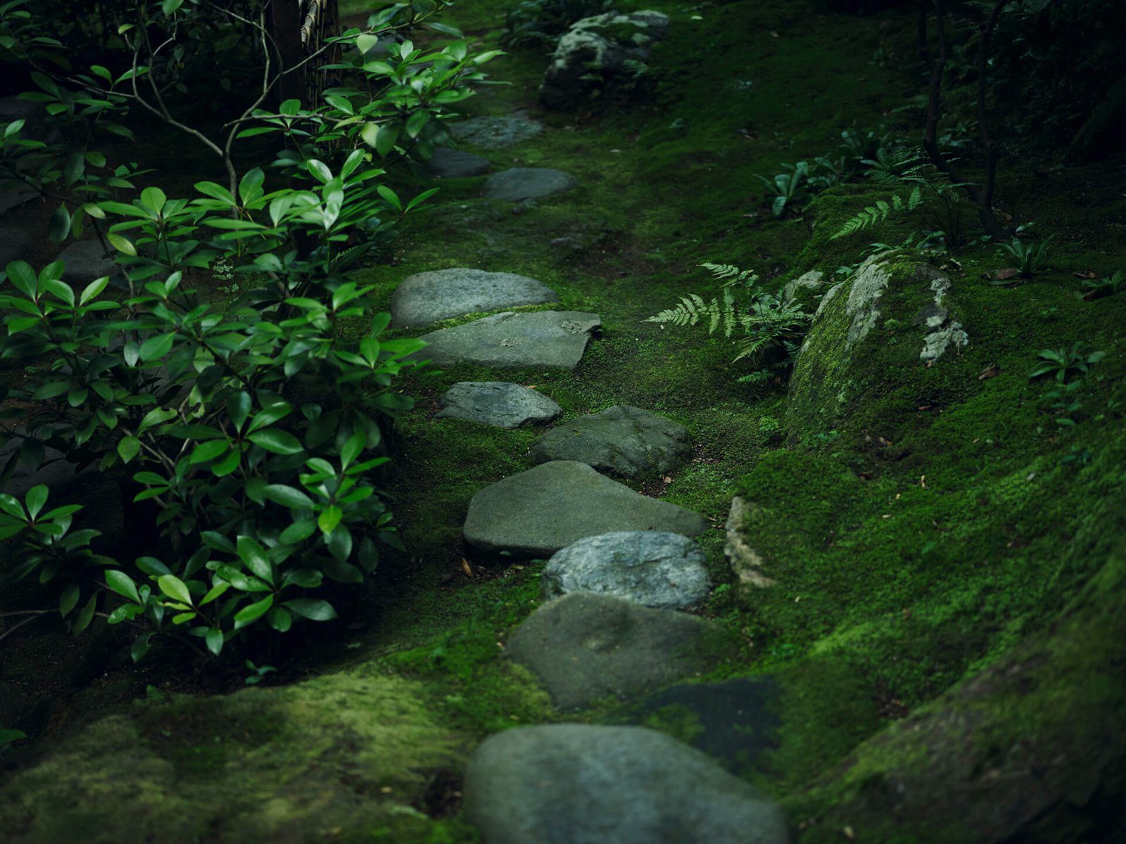 山代溫泉 べにや無何有