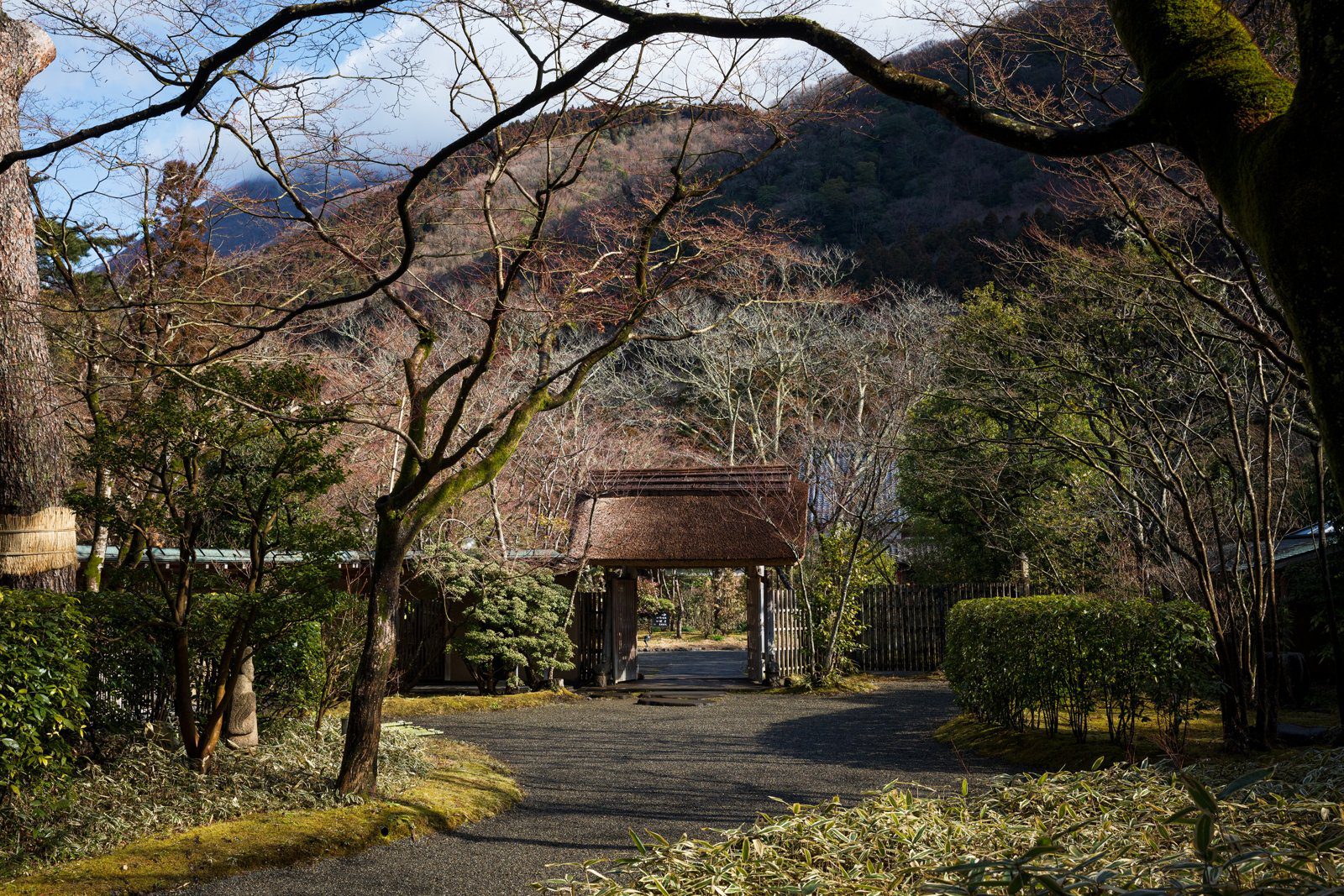 由布院 亀の井別荘 庭園一景